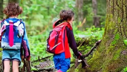 Survival Skills For Kids