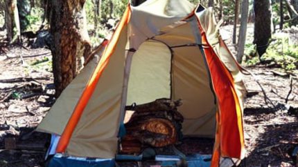 Wilderness Survival
