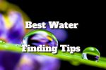 Best Water Finding Tips from a Survival Expert